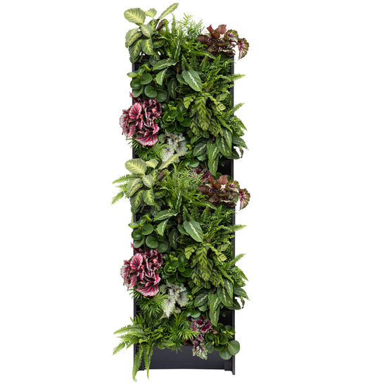 PlantBox Living Wall - 10 Tier System
