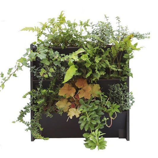 PlantBox Living Wall - 3 Tier System