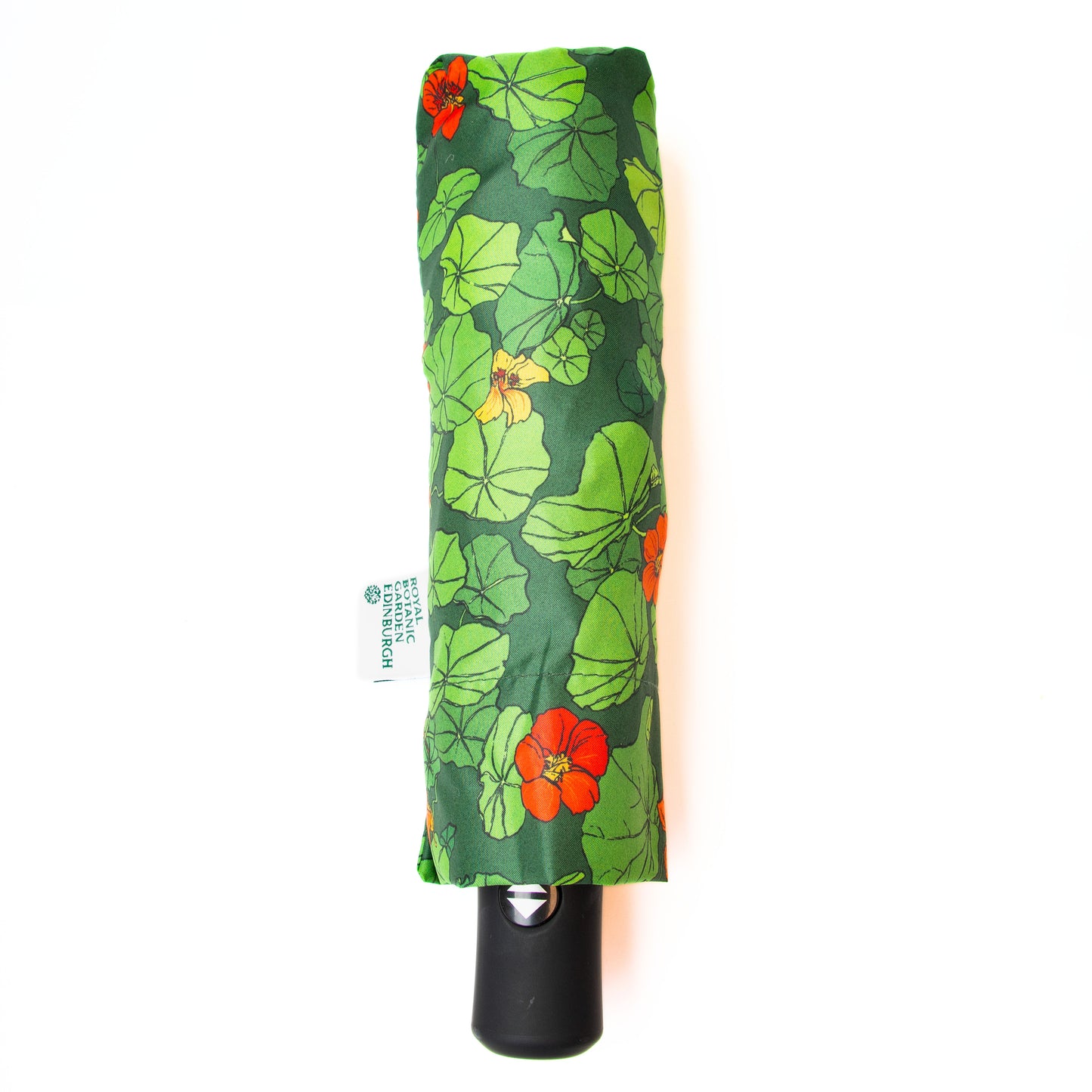 Planting with Nature: Nasturtium Umbrella