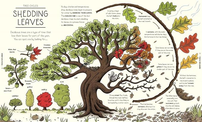 Nature Explained - A Family Guide to 20 Nature Cycles