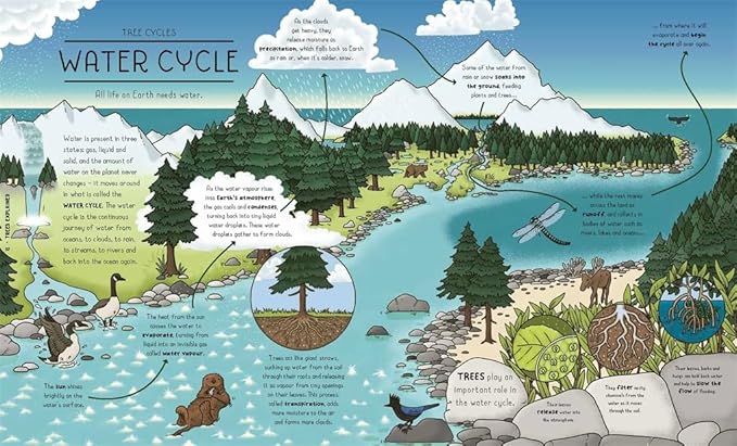 Nature Explained - A Family Guide to 20 Nature Cycles
