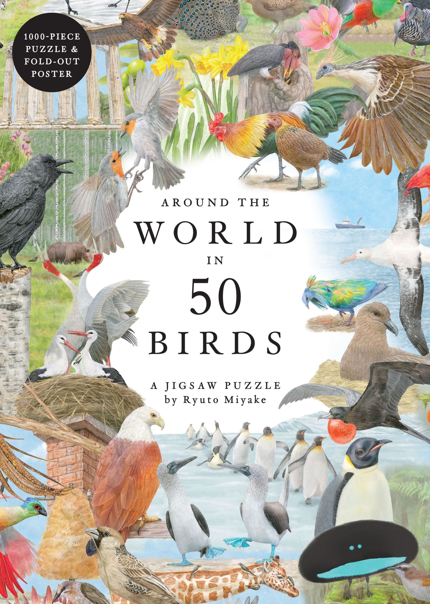 Around the World in 50 Birds - 1000 piece jigsaw puzzle