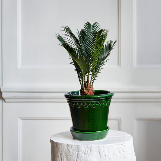 Bergs Potter - Copenhagen Glazed Terracotta Pot and Saucer 12cm