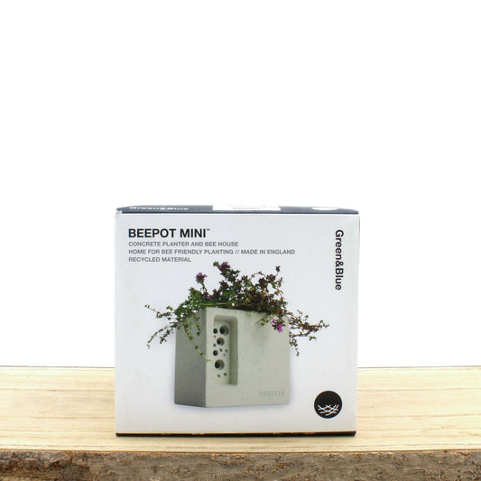 Beepot Mini Concrete Planter & Bee House