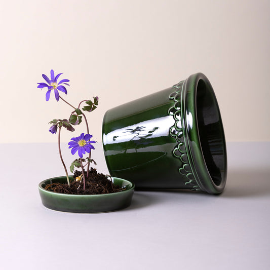 Bergs Potter - Copenhagen Glazed Terracotta Pot and Saucer 10cm