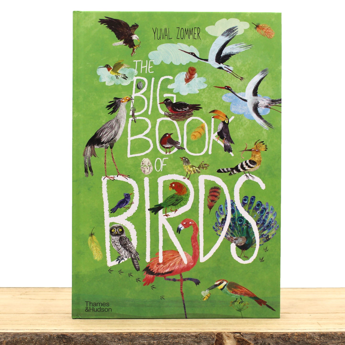 The Big Book of Birds