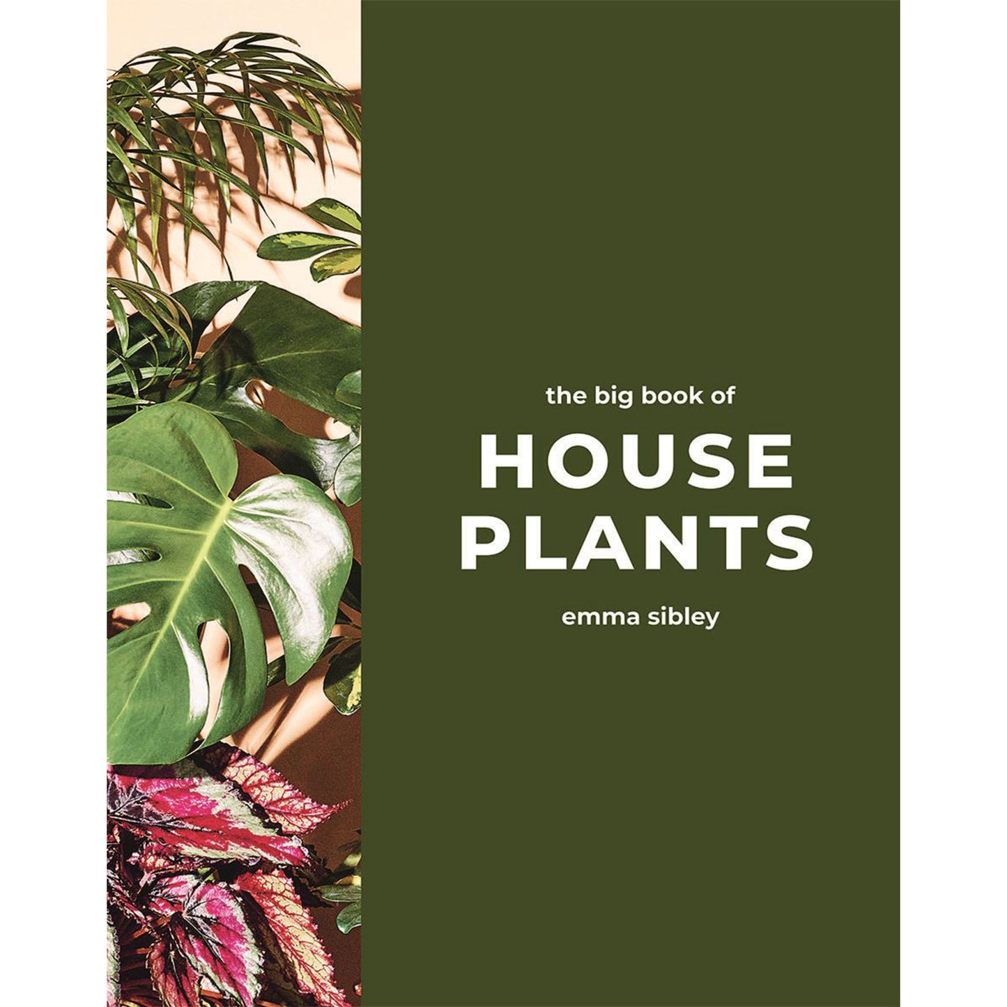 Big Book of House Plants