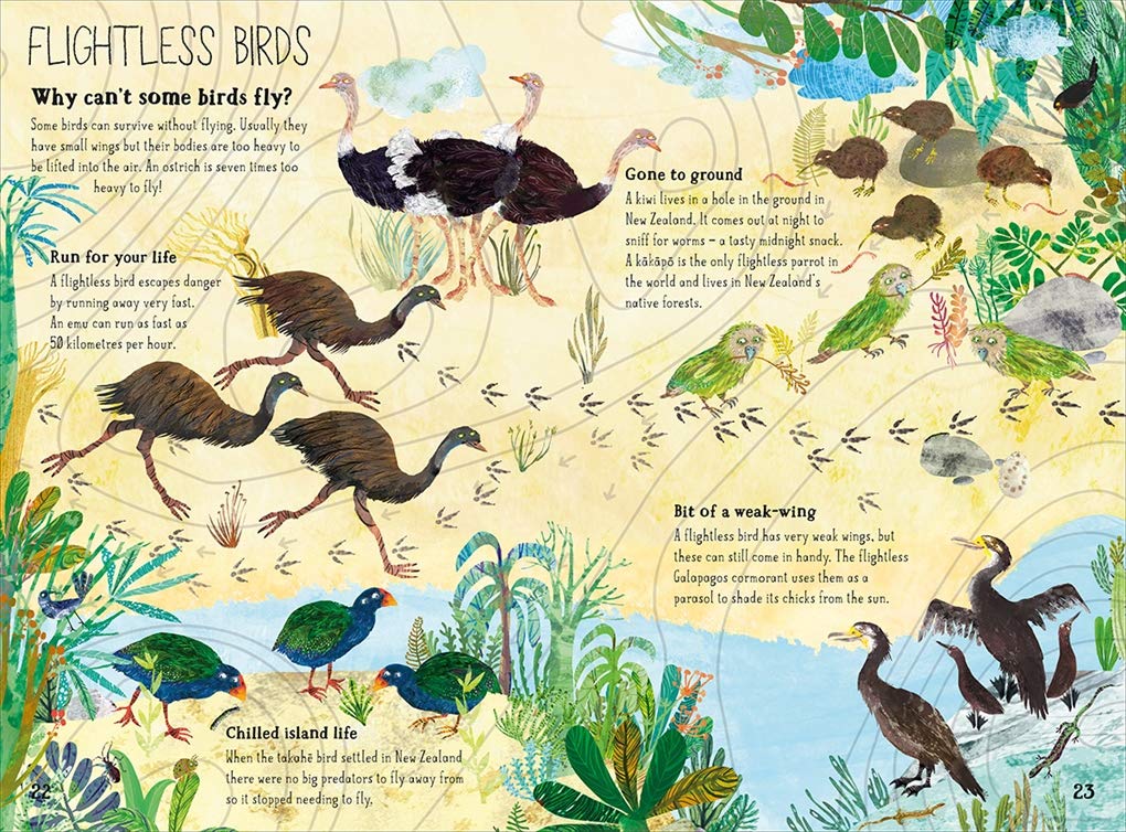 Big Book Of Birds
