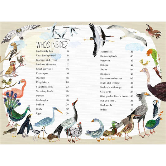 Big Book Of Birds