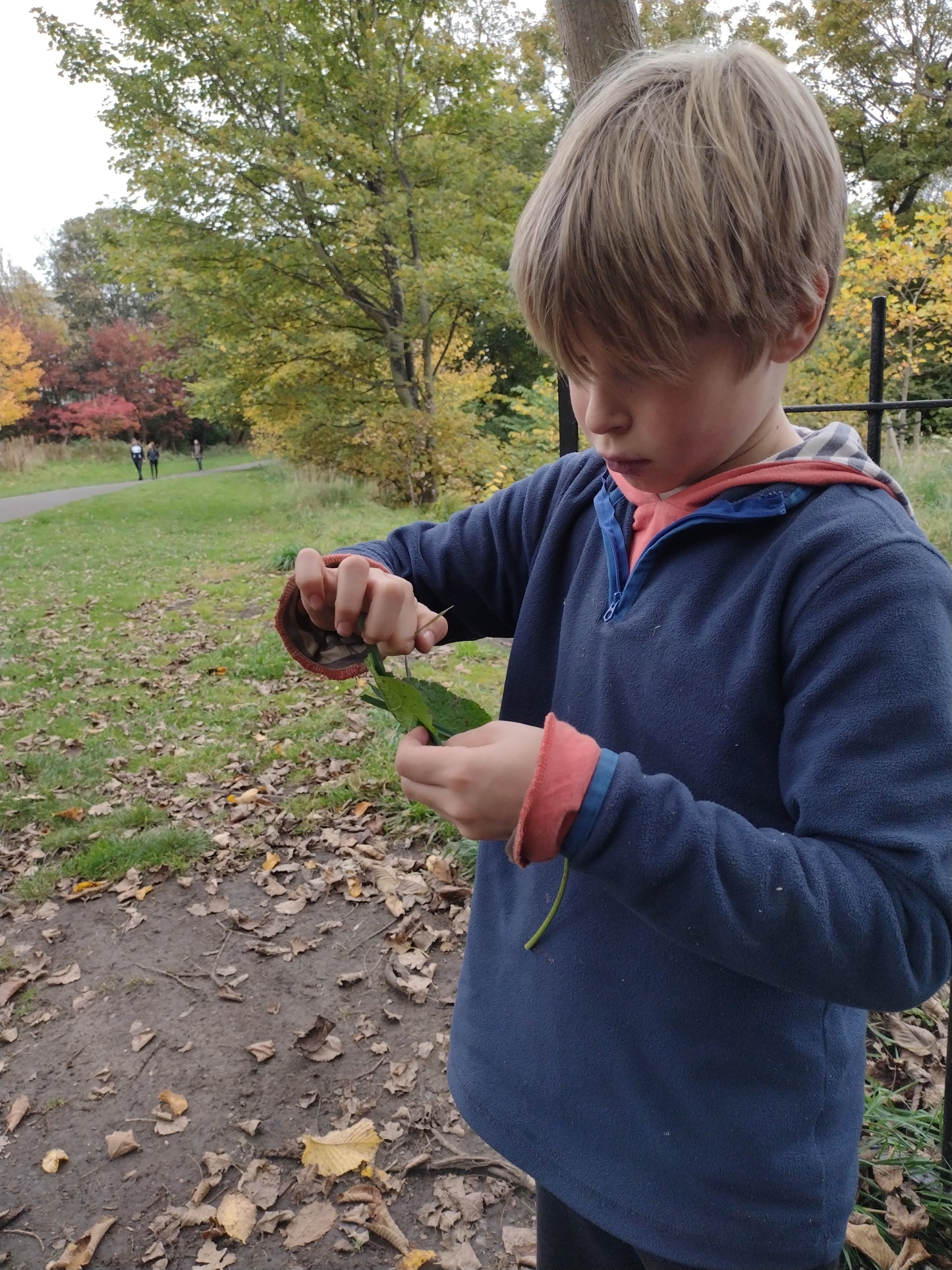 Sharing Nature with Children