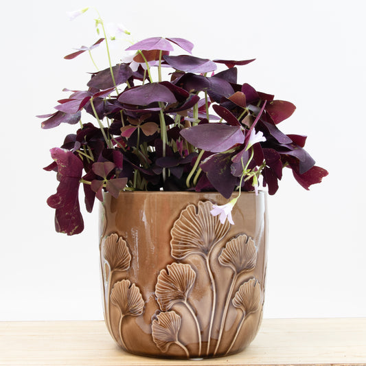 Embossed Mushroom Plant Pot - Brown