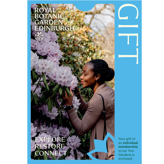 Gift membership envelope. A lady admires lilac rhododendrons