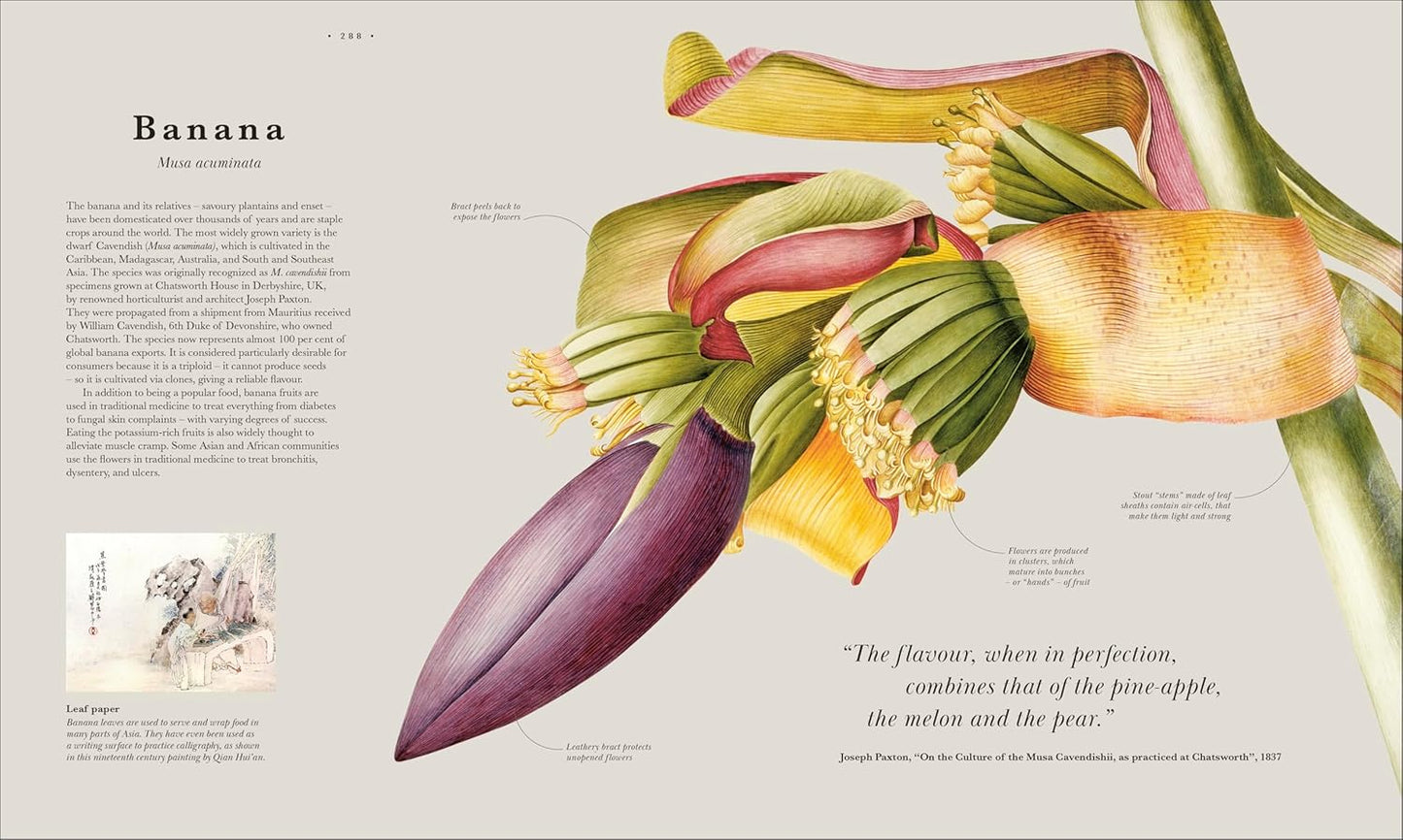 Pre-Order - Atlas of Botany: An Exploration of Plants Across Time and Around the World