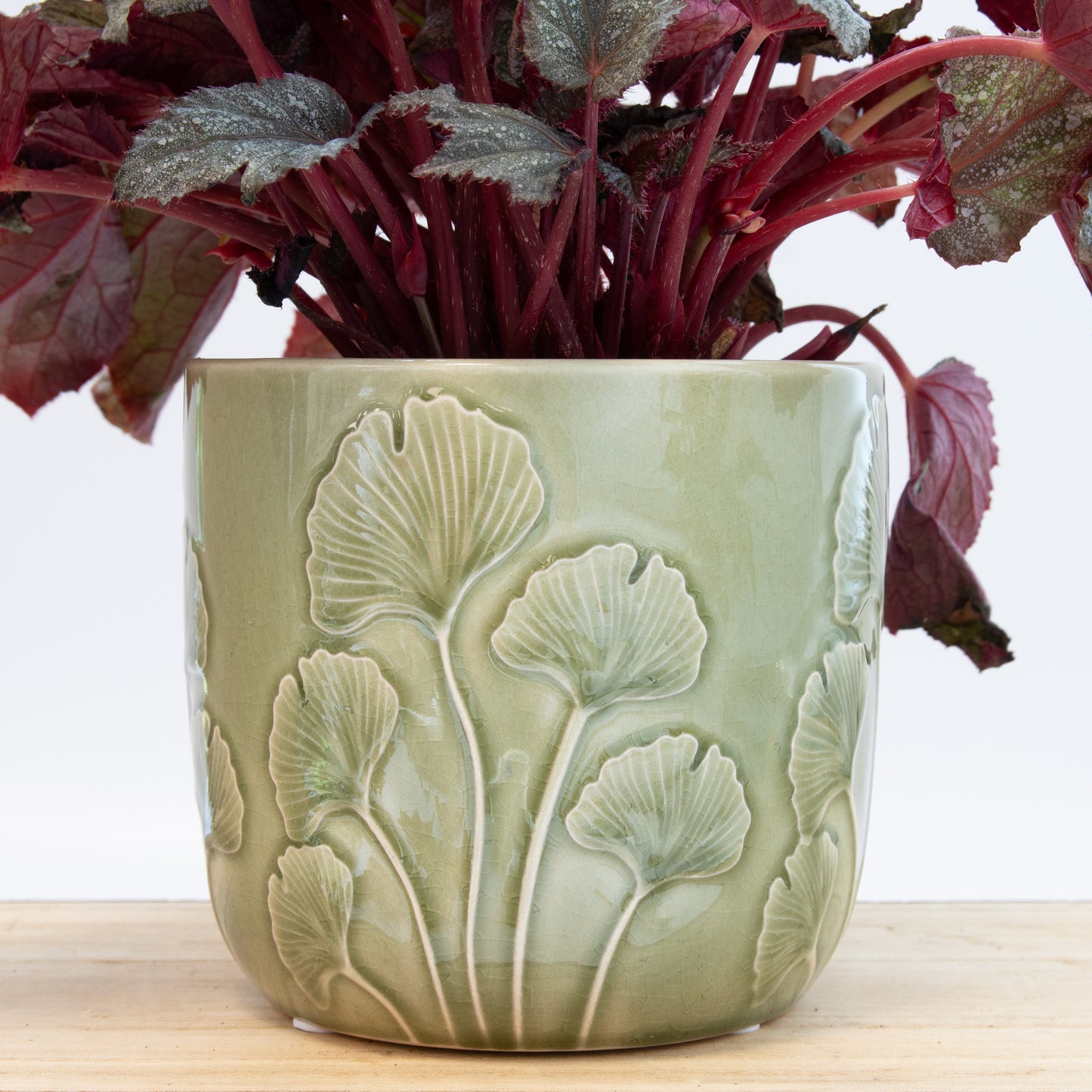 Embossed Mushroom Plant Pot - Green