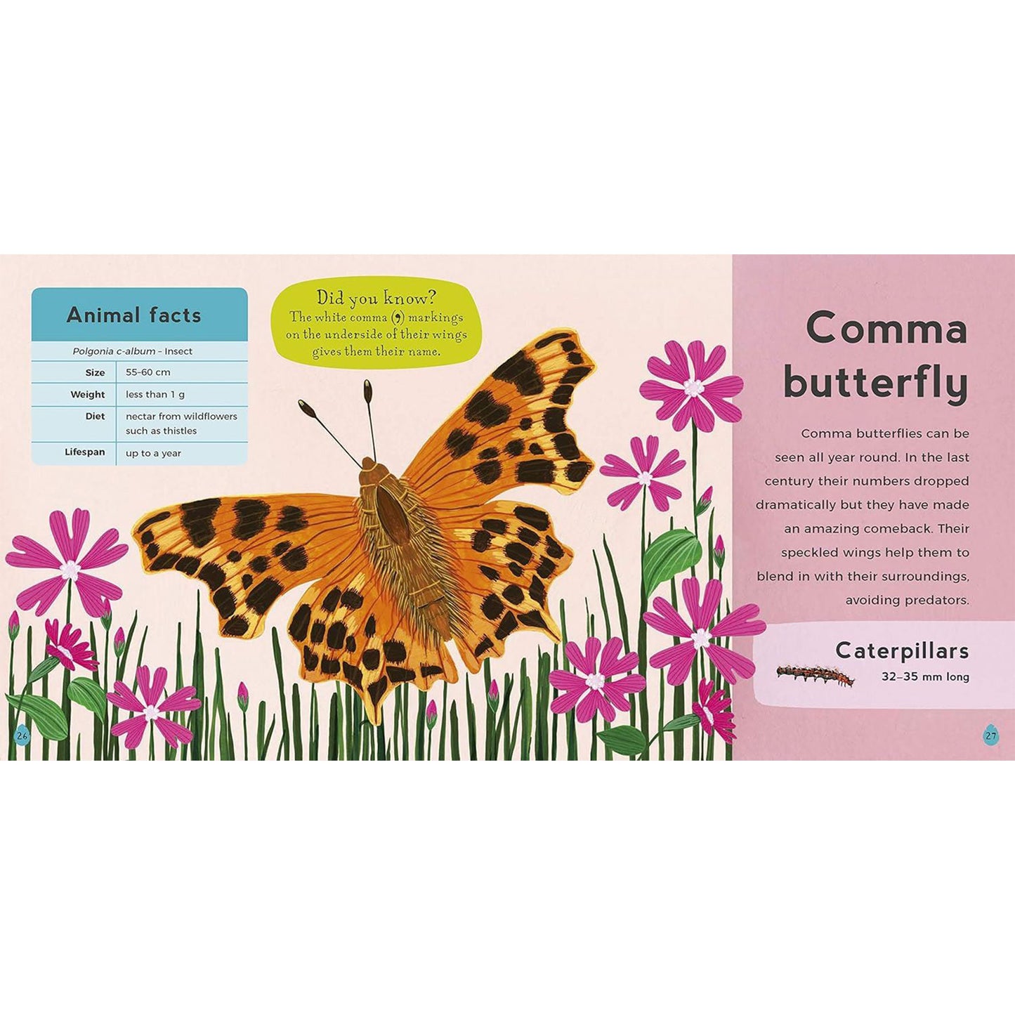 My First Book of Woodland Animals
