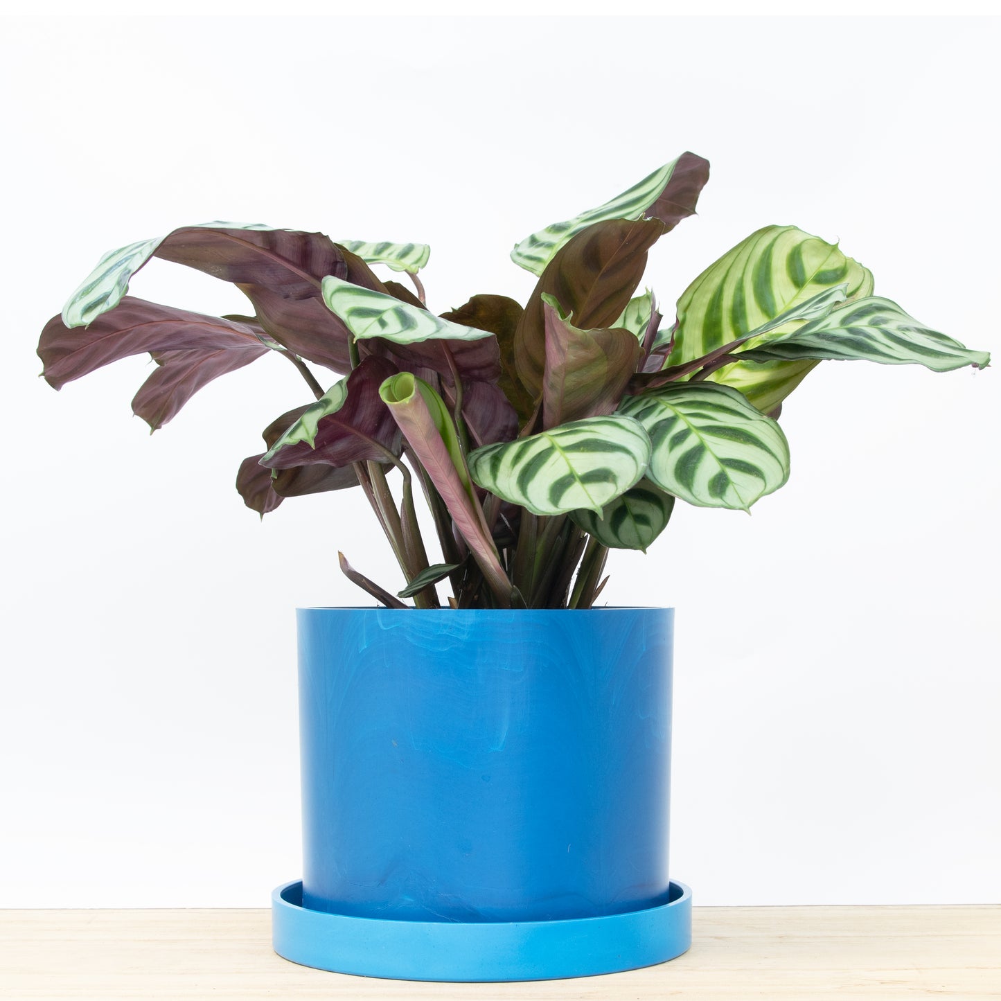 Ocean Plastic Plant Pot & Saucer - Blue