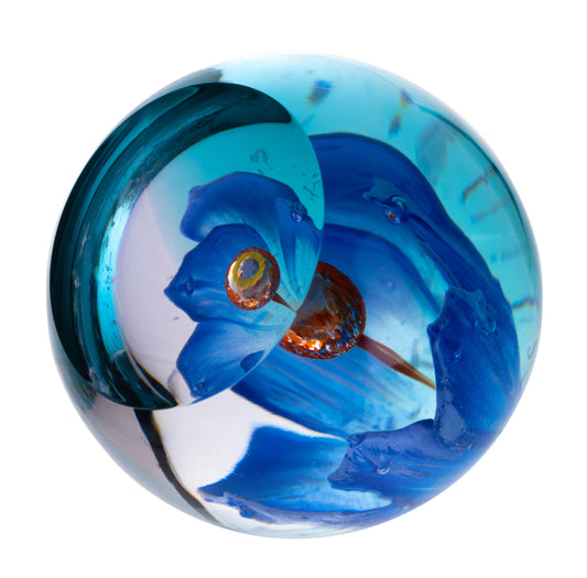 blue poppy paperweight