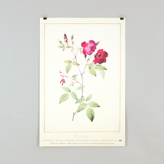 Redoute Roses Print Set No.22, Botanical Print, Giclee, Art Print, Gallery Wall Art, Flowers, Rose newest Prints, Illustration, Redoute Rose Prints