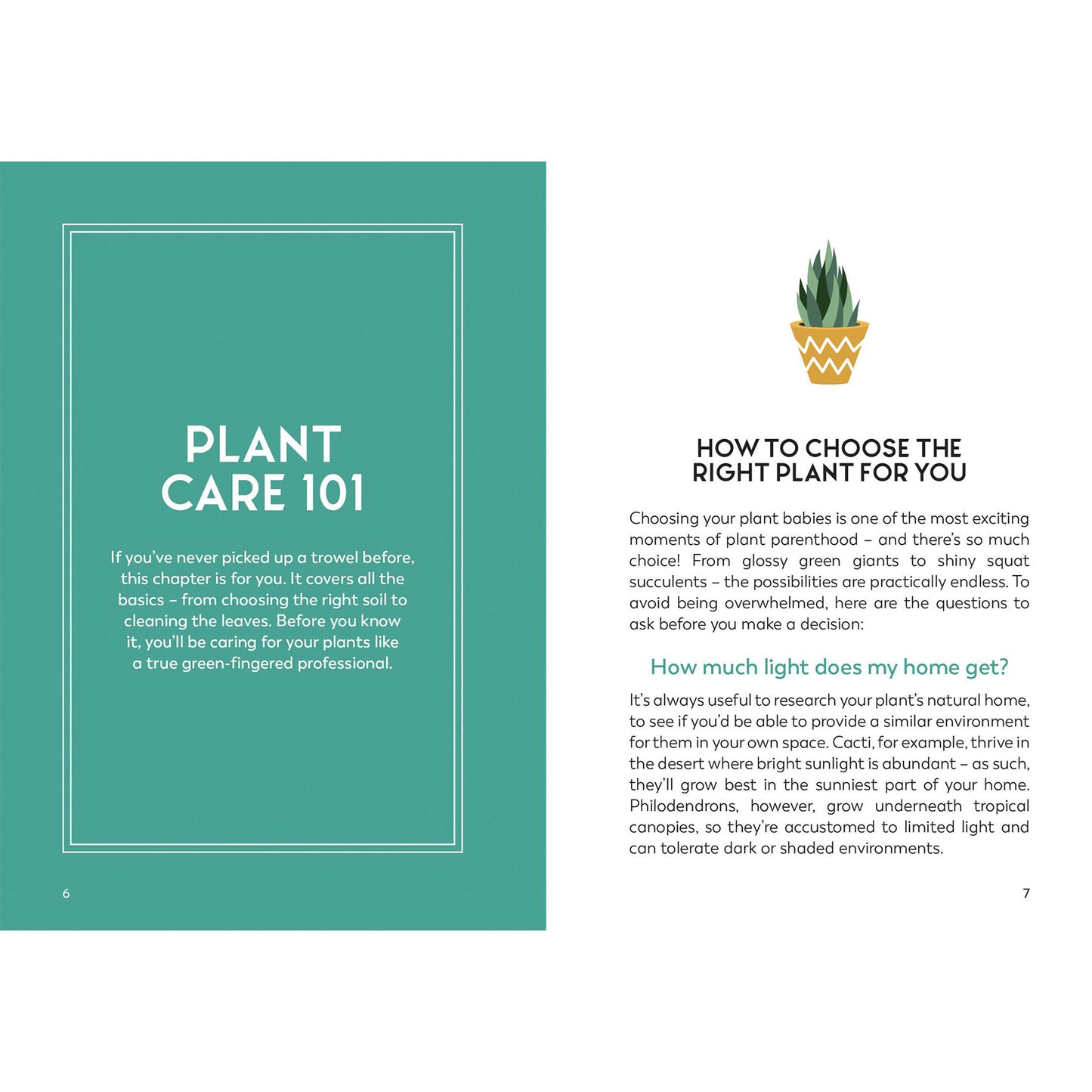 Little Book for Plant Parents