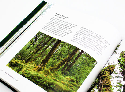 The Queen's Green Canopy