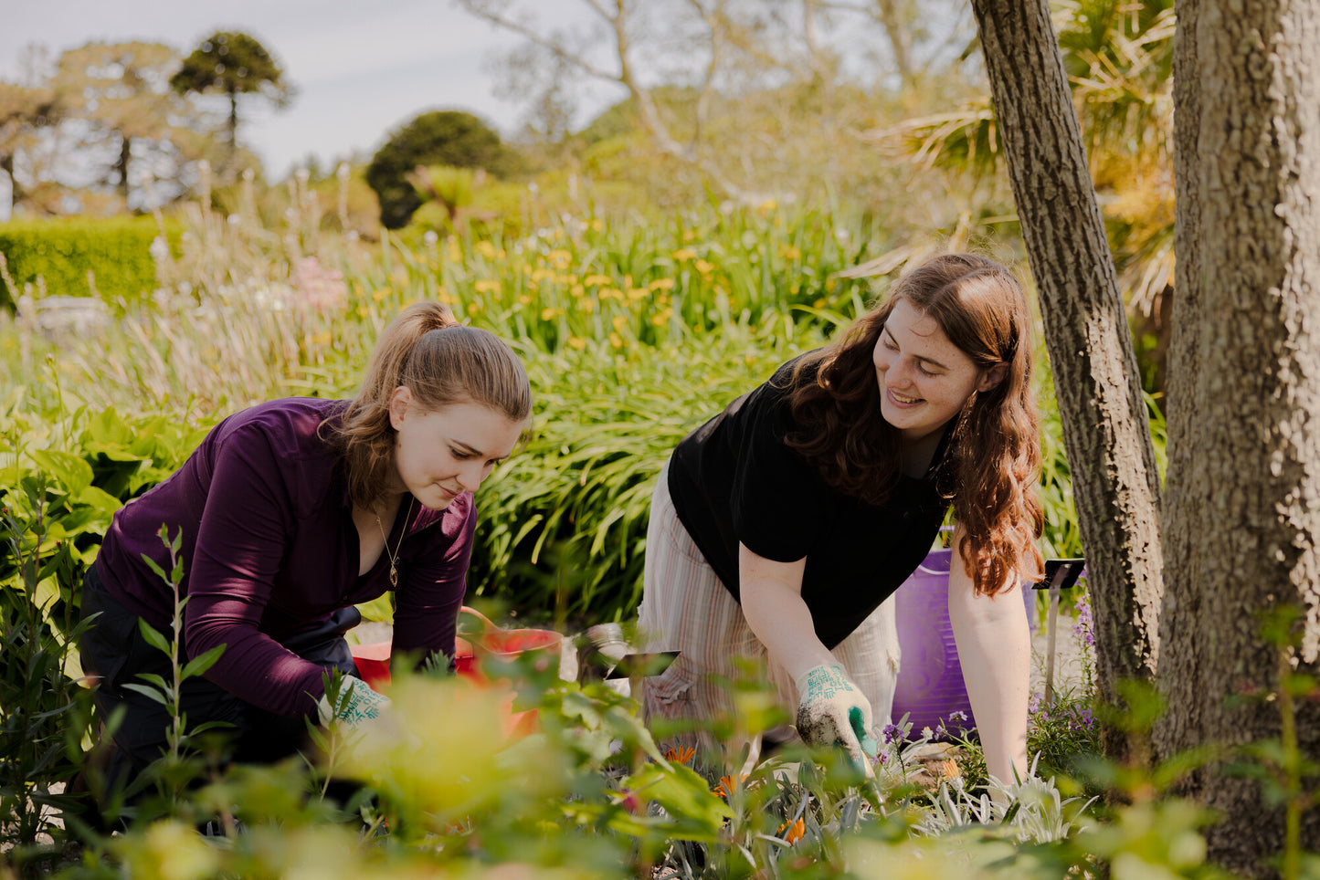 Getting Started with Gardening (Online Course)