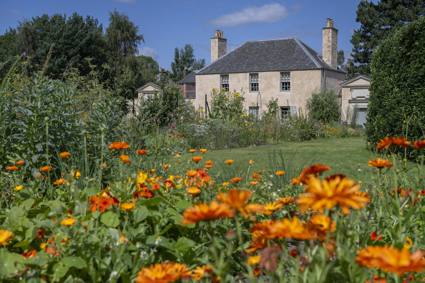 How to Read your Garden