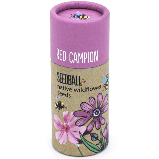 Seedball Tube - Red Campion