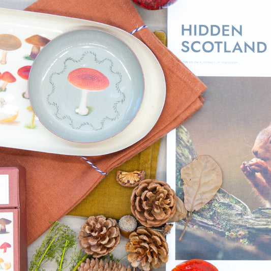 Decorative setting with a mushroom-themed plate, pinecones, and a book titled 'Hidden Scotland'.