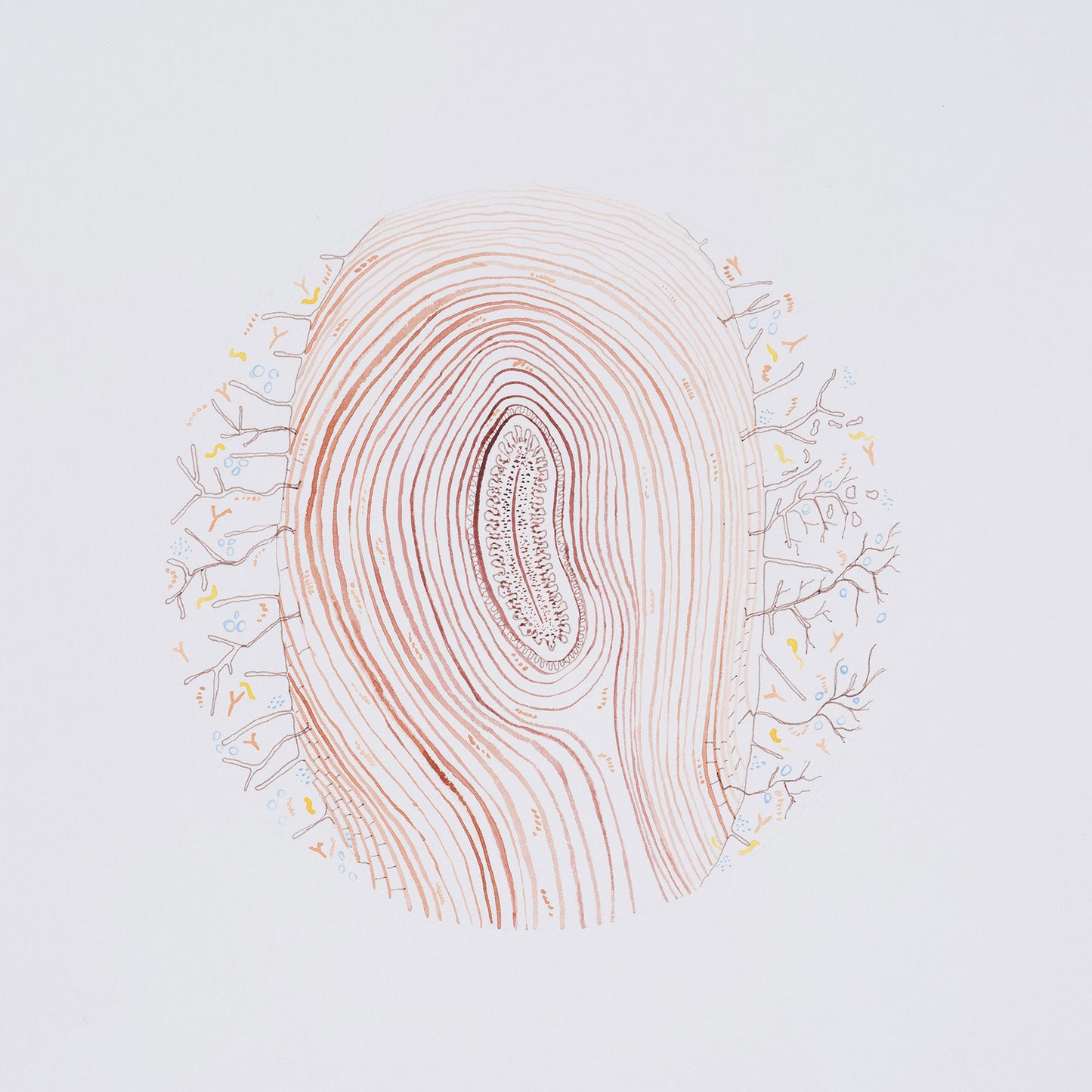 Natalie Taylor: Fingerprint Holobiont Print