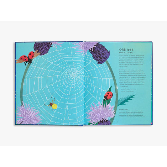 The Secret World of Spider Webs