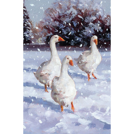 Winter Birds Christmas Cards - Box of 20