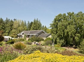 Your Garden in Spring