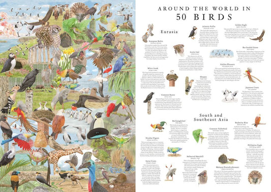 Around the World in 50 Birds - 1000 piece jigsaw puzzle