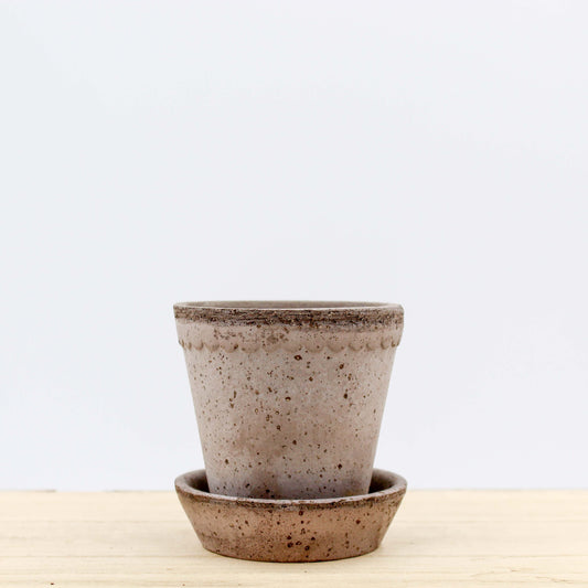 Helena Raw Grey Terracotta Pot and Saucer 8.5cm