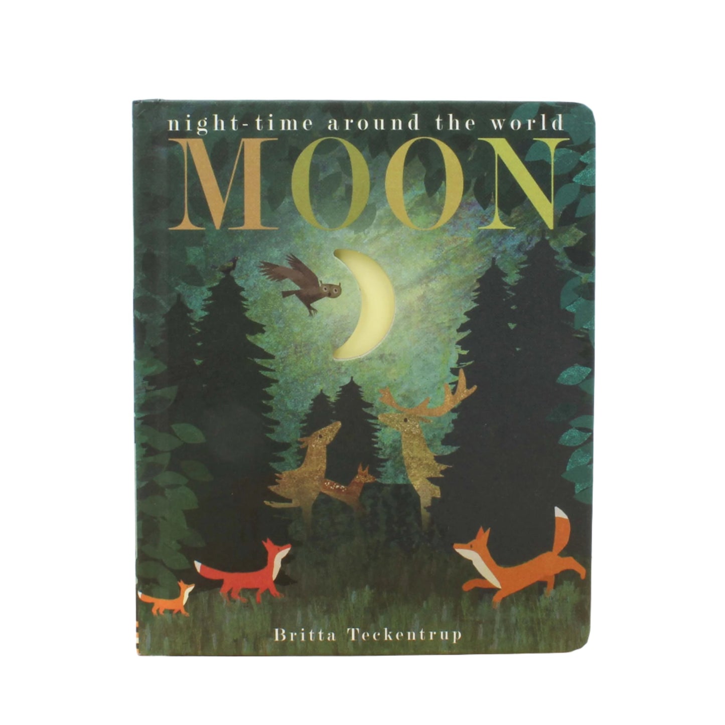 Moon: Night Time Around The World
