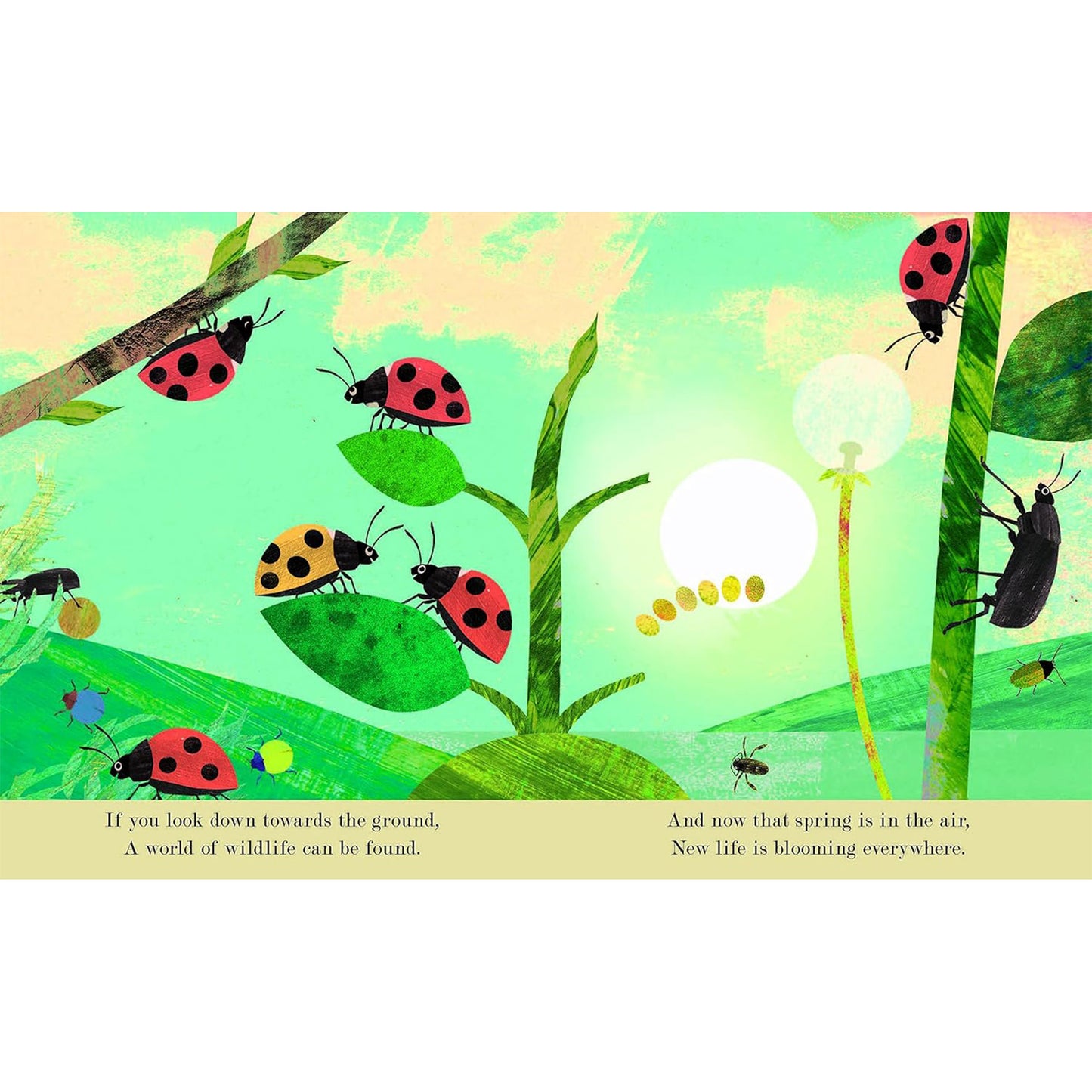 Bugs: Explore a tiny world full of life