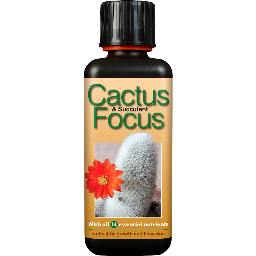 Cactus Focus 300ml