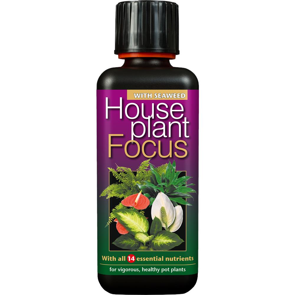 Houseplant Focus 300ml