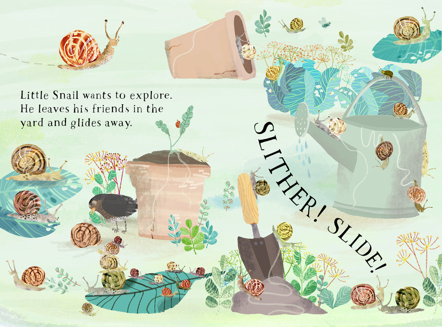 Little Snail's Book Of Bugs