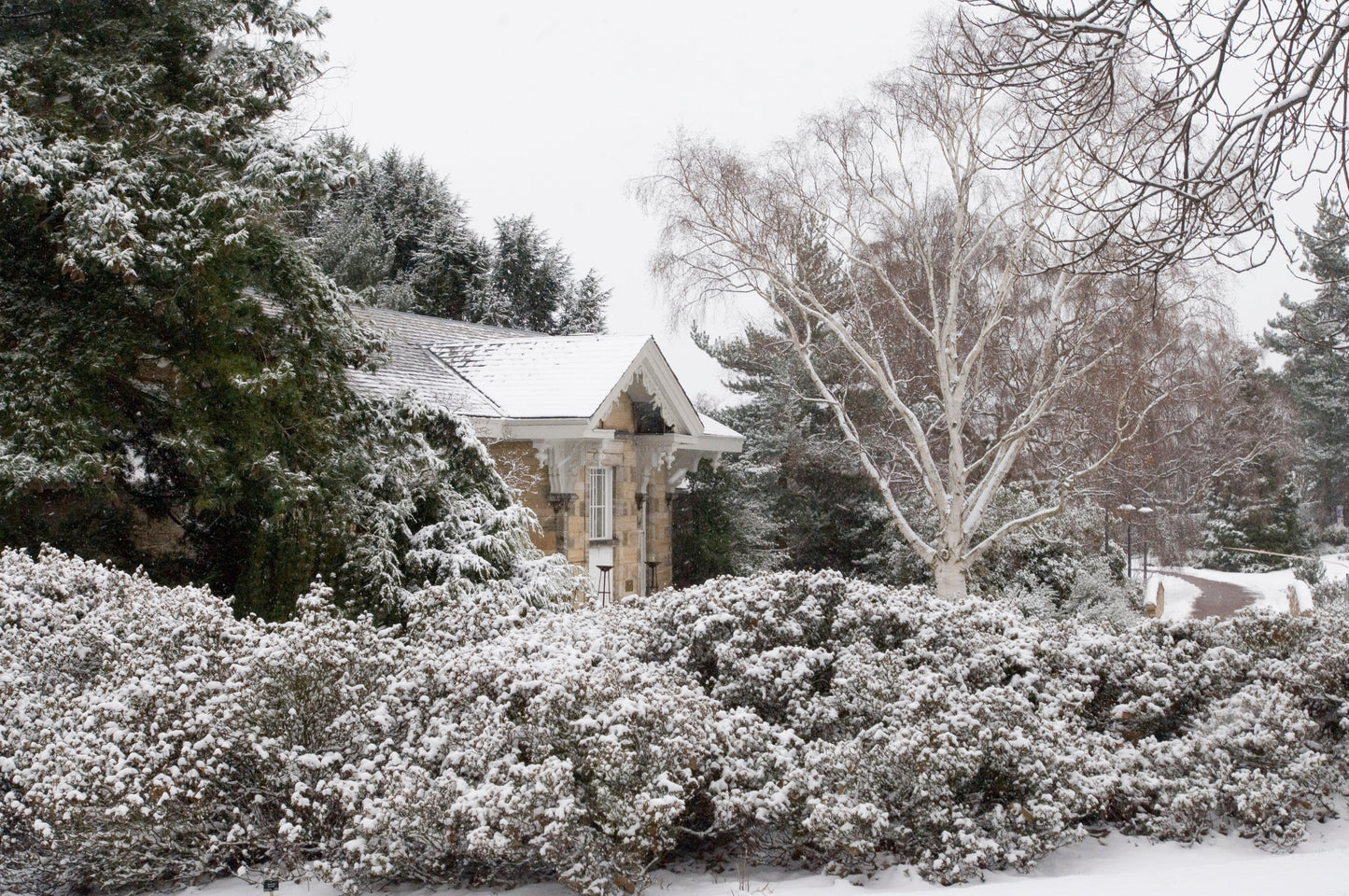 Your Garden in Winter