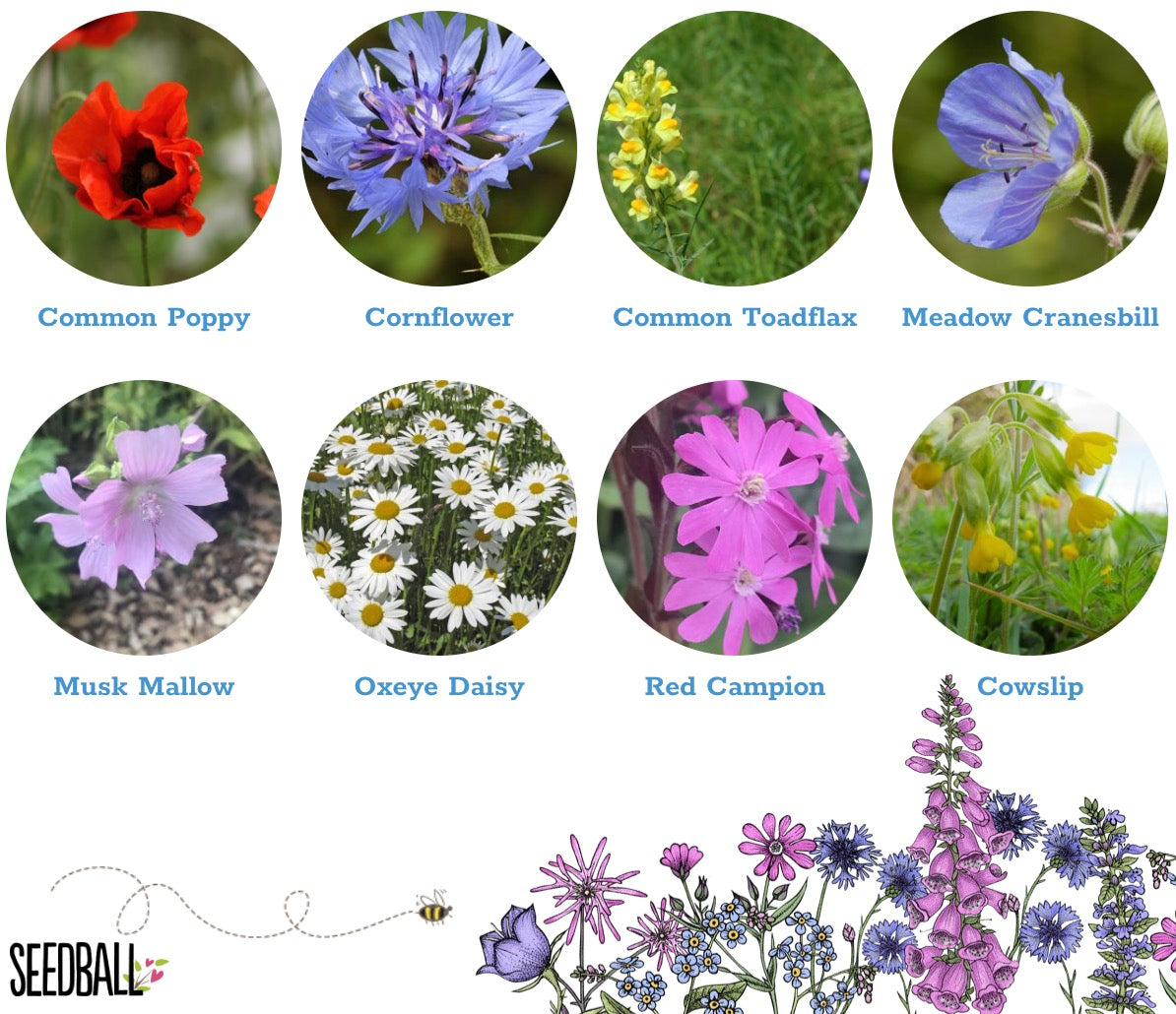 Make Your Own Seedballs Kit