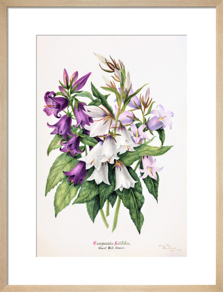 Bell Flower by Charlotte Cowan Pearson