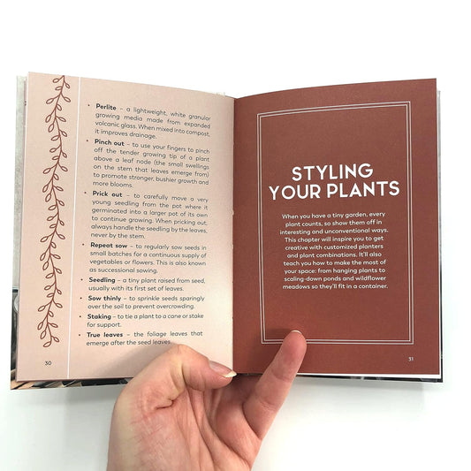 My Tiny Window Garden