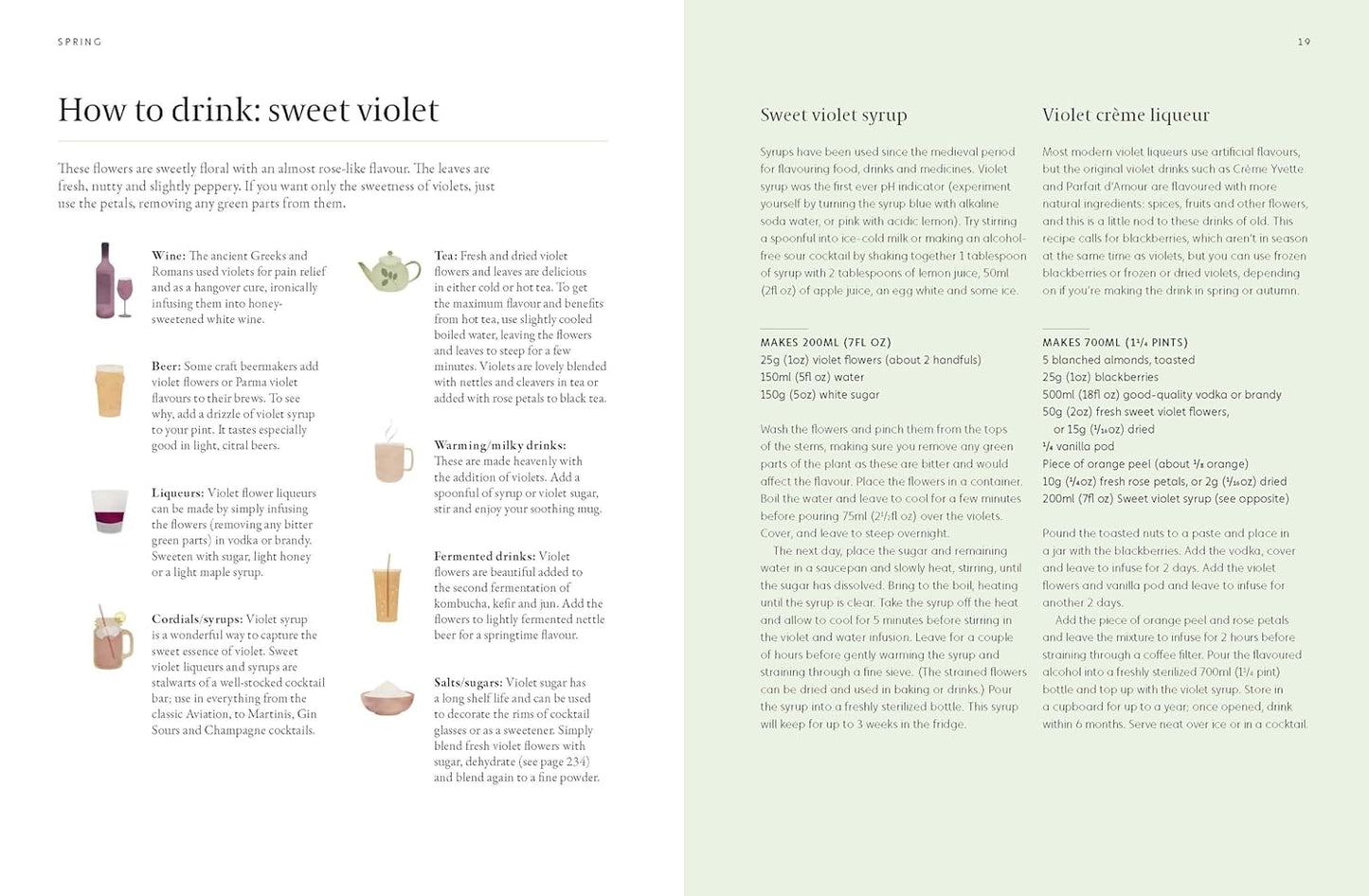 Forager's Guide to Wild Drinks