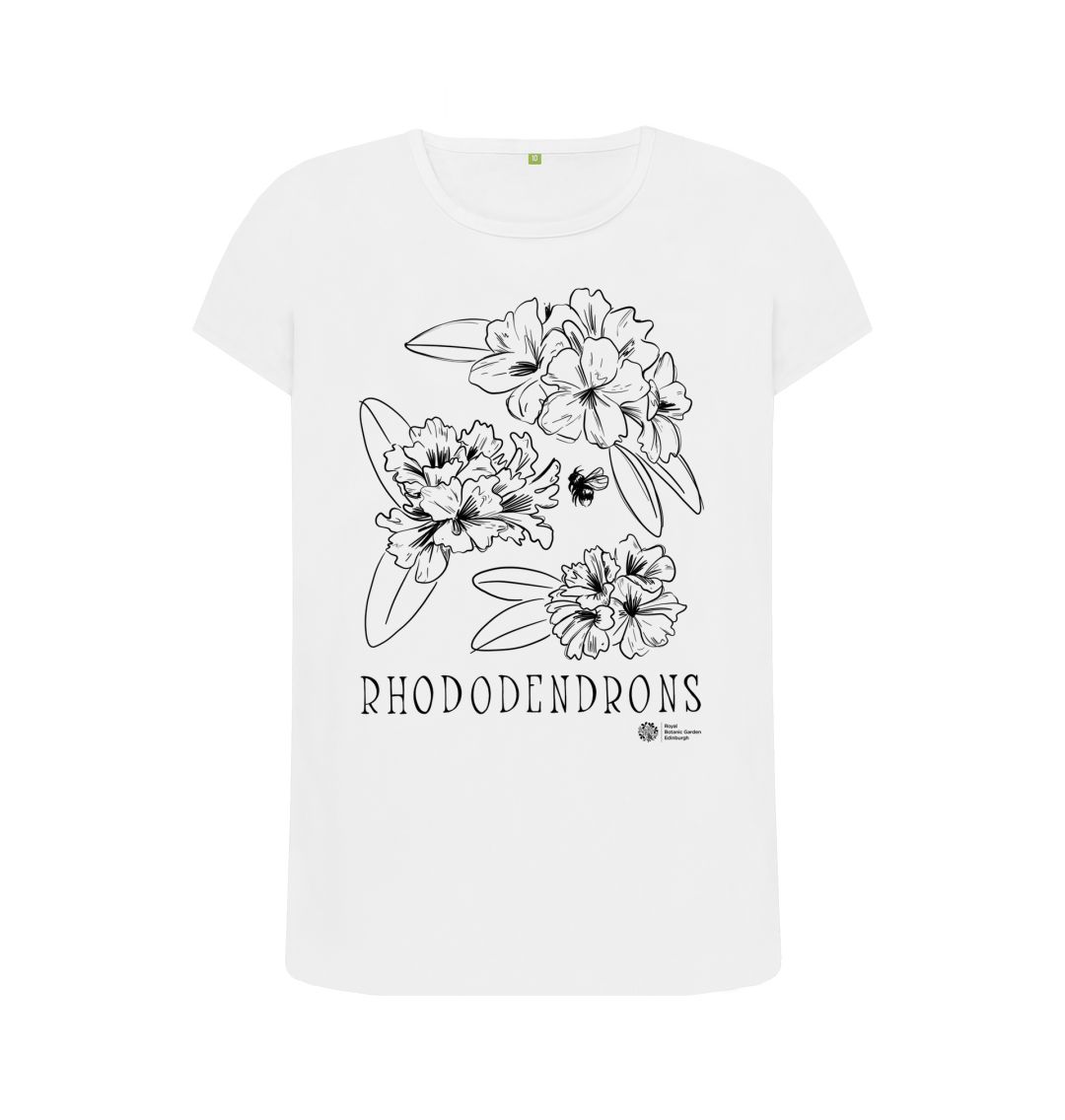 White Rhododendrons Top