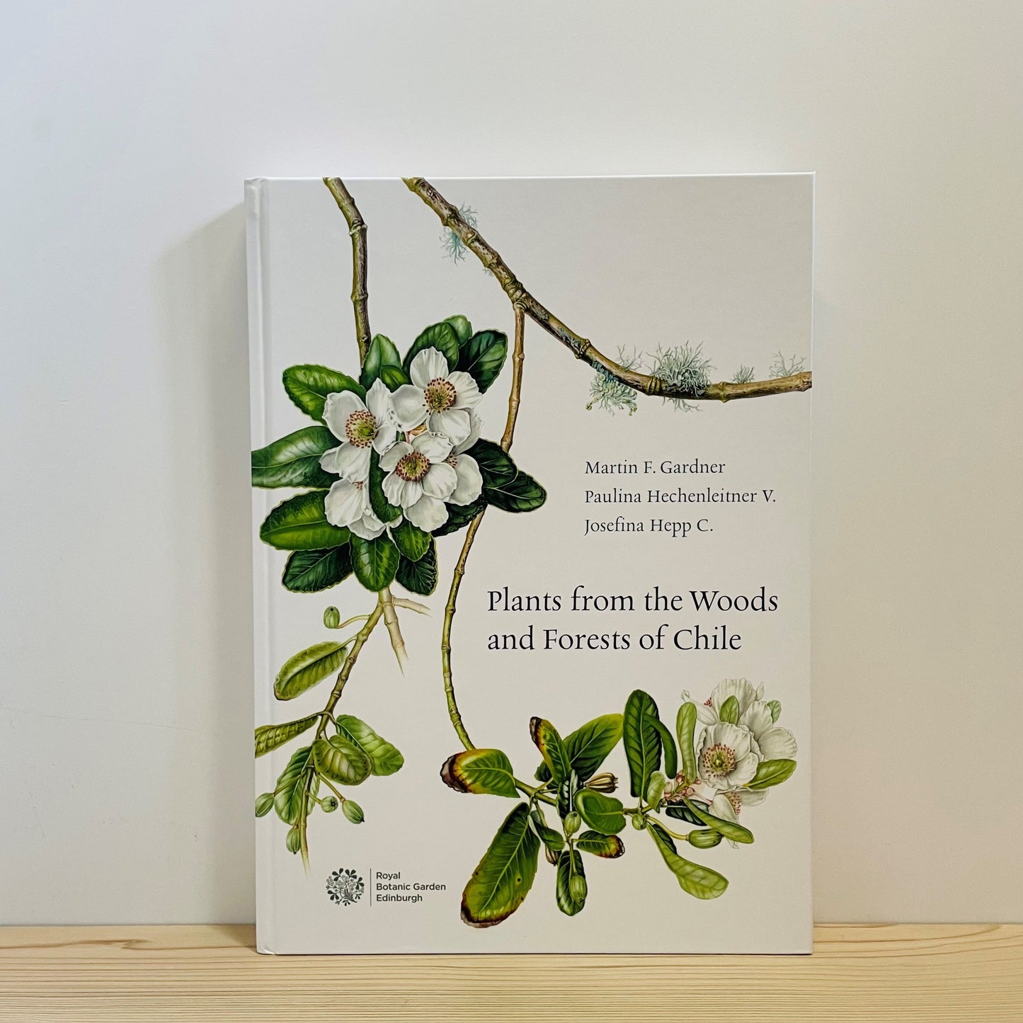Plants from the Woods & Forests of Chile