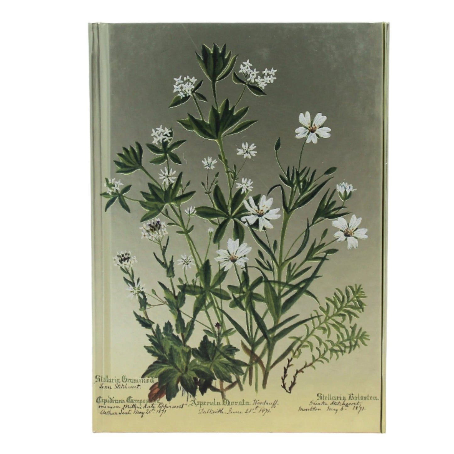 Charlotte Cowan Pearson ‘Stitchwort’ Journal