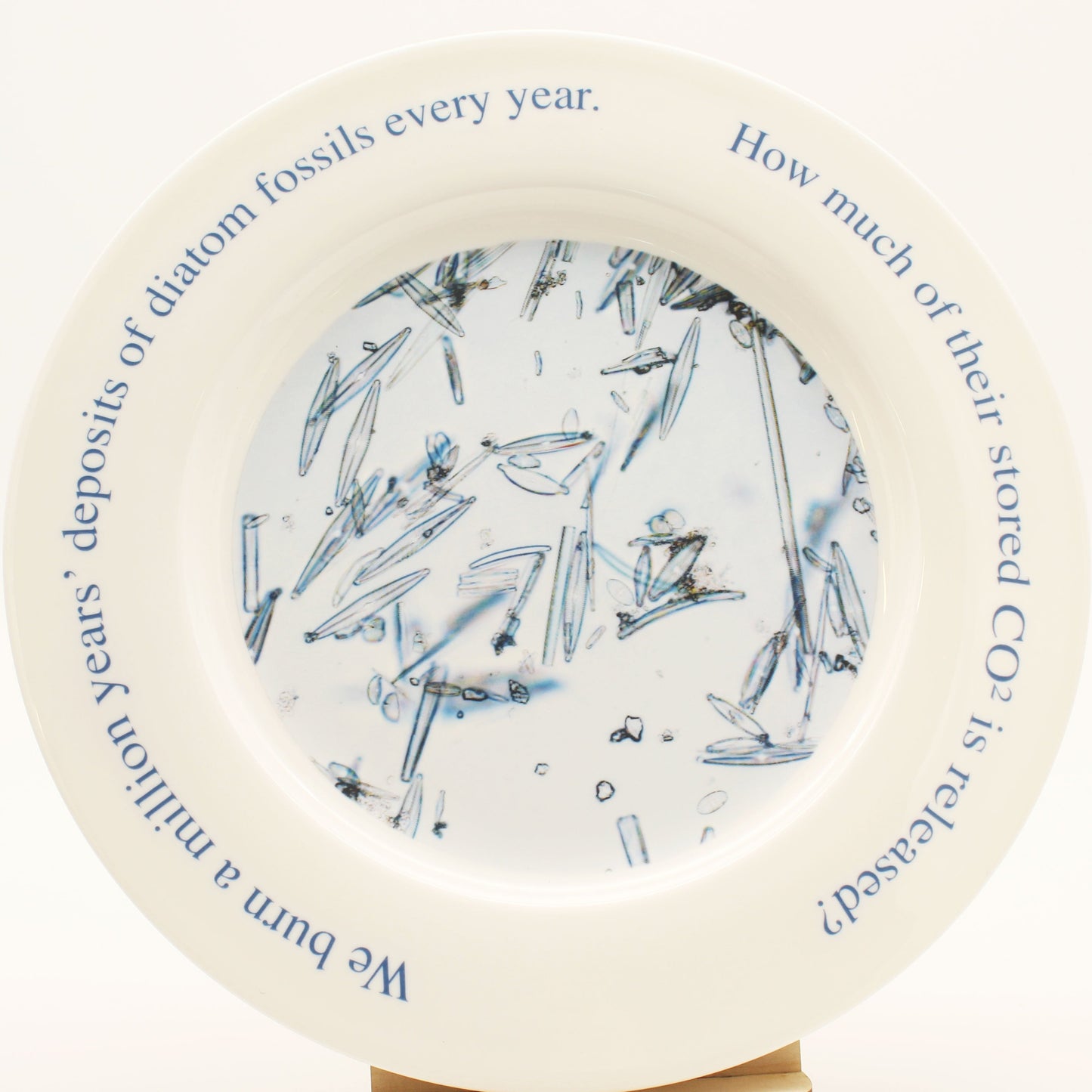 We are what our microbes eat (Diatom diversity) Plate