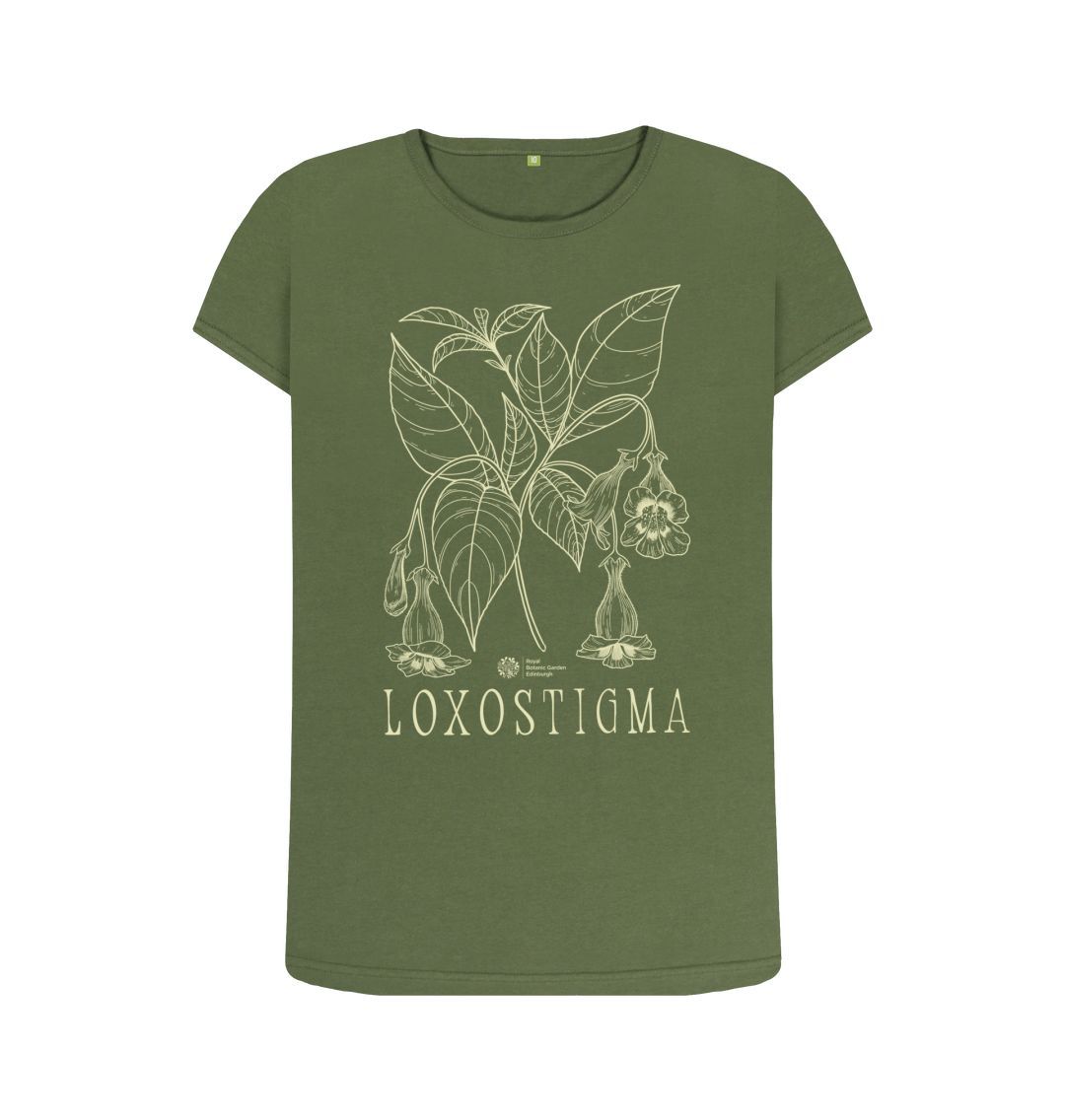 Khaki Loxostingma Top