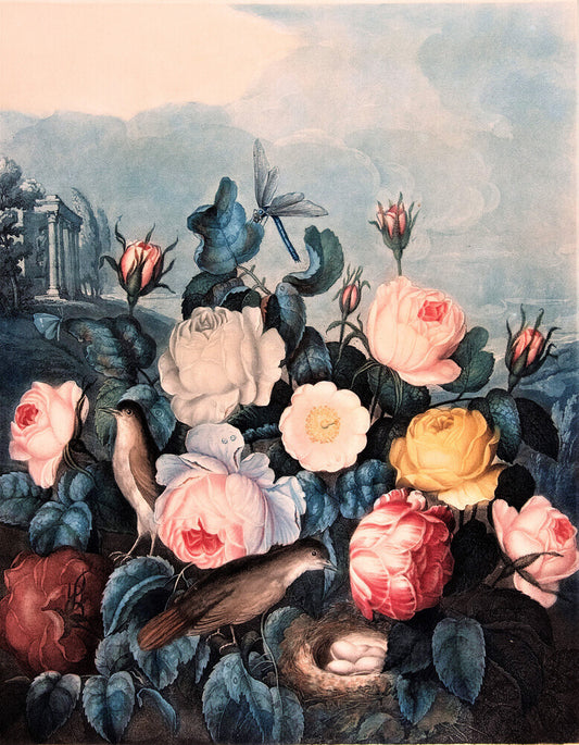 Roses by Robert John Thornton